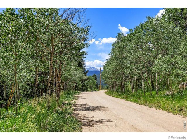 1568 County Road 103, Nederland, CO 80466