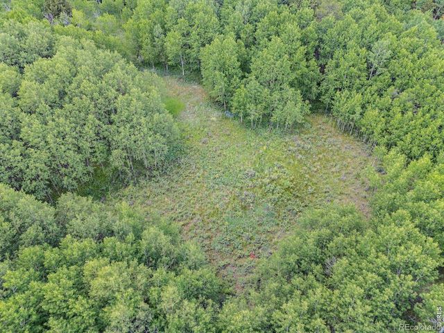 1568 County Road 103, Nederland, CO 80466