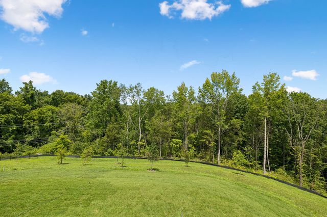 217 Ash Dale Dr, Mount Juliet, TN 37122