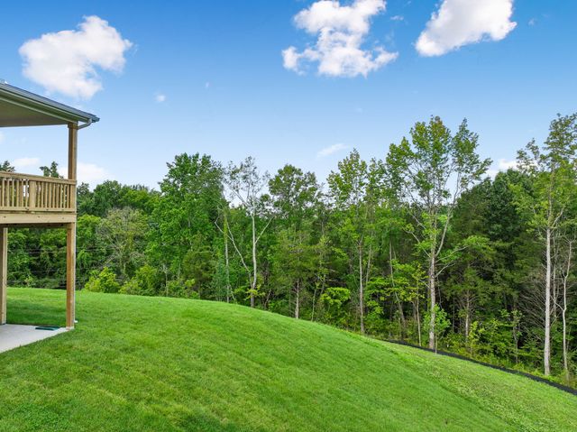 217 Ash Dale Dr, Mount Juliet, TN 37122