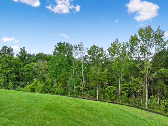 217 Ash Dale Dr, Mount Juliet, TN 37122