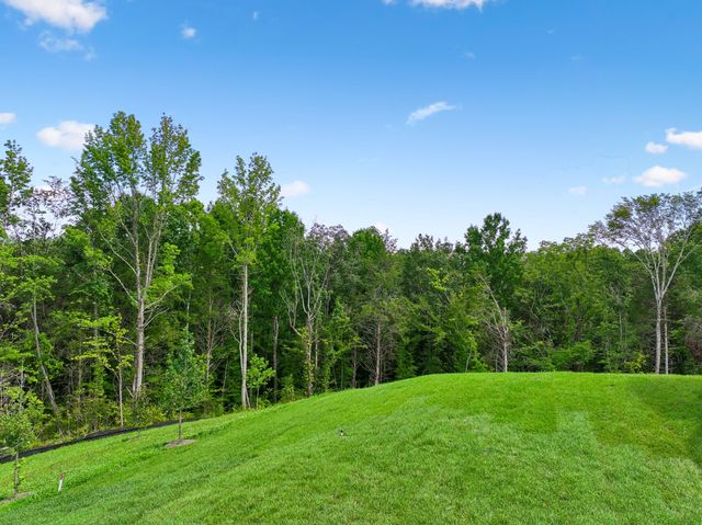 217 Ash Dale Dr, Mount Juliet, TN 37122