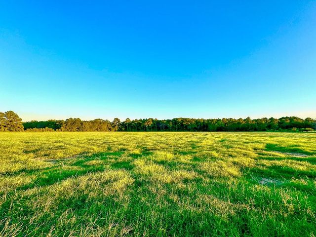 T-5 Hoke Road, Richards, TX 77873