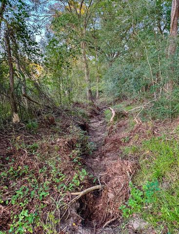 T-5 Hoke Road, Richards, TX 77873