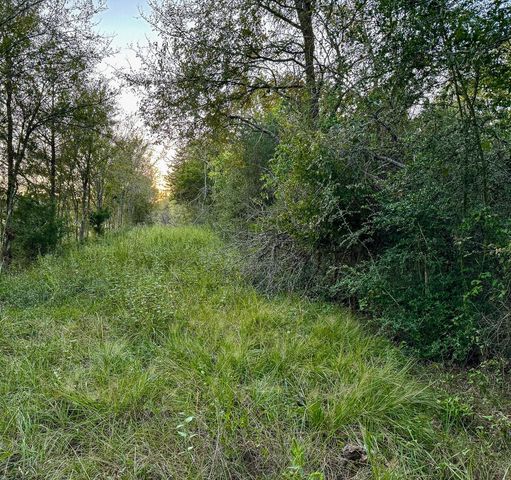 T-5 Hoke Road, Richards, TX 77873