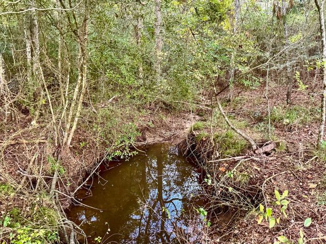 T-5 Hoke Road, Richards, TX 77873