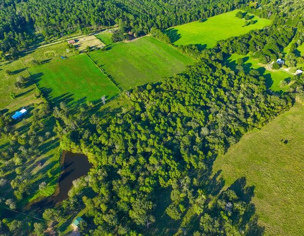 T-5 Hoke Road, Richards, TX 77873