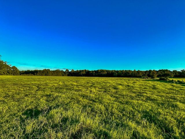 T-5 Hoke Road, Richards, TX 77873