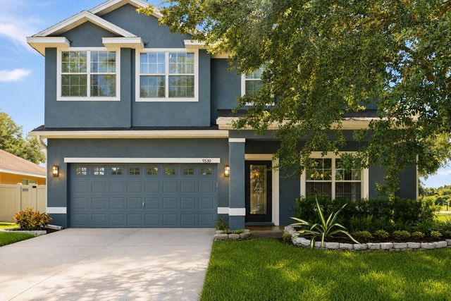 9530 NATHANIEL LANE, Land O Lakes, FL 34638