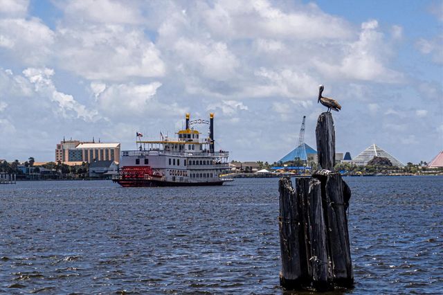 9520 Seawall Boulevard 319, Galveston, TX 77554