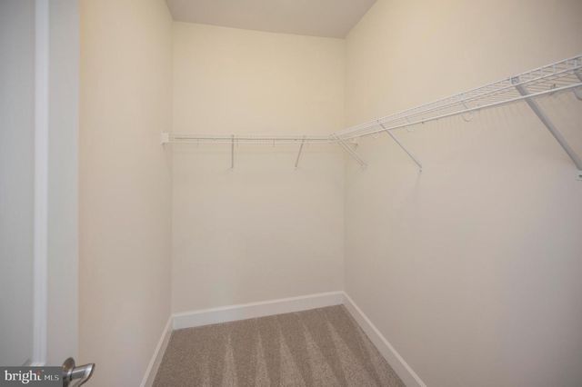 420 PEAR BLOSSOM RD, Stafford, VA 22554