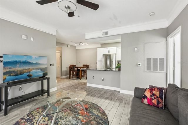 17104 CARRINGTON PARK DRIVE 514, Tampa, FL 33647