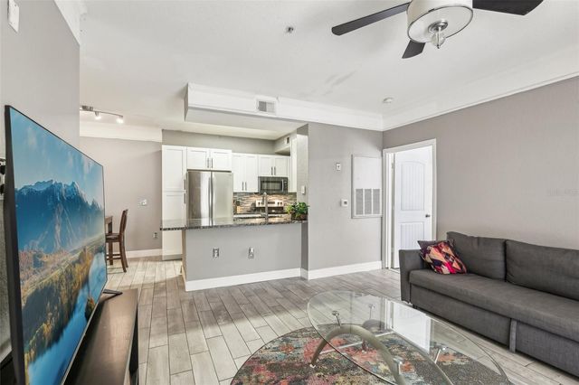 17104 CARRINGTON PARK DRIVE 514, Tampa, FL 33647