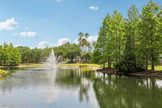 17104 CARRINGTON PARK DRIVE 514, Tampa, FL 33647