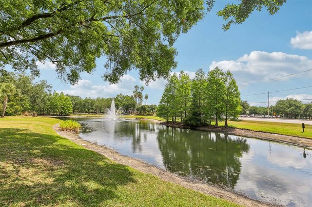 17104 CARRINGTON PARK DRIVE 514, Tampa, FL 33647