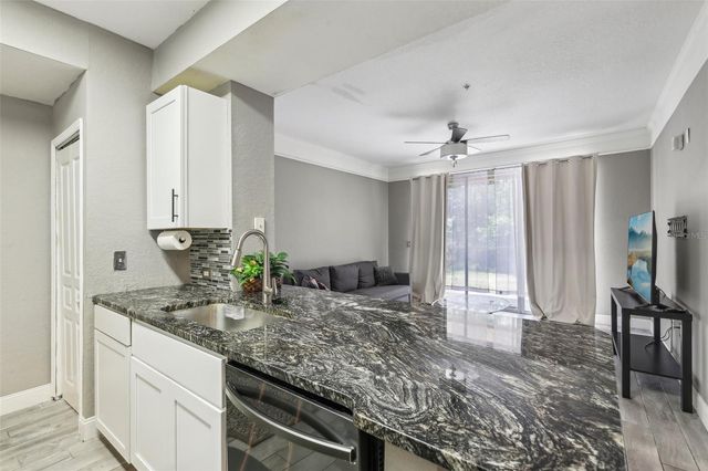 17104 CARRINGTON PARK DRIVE 514, Tampa, FL 33647