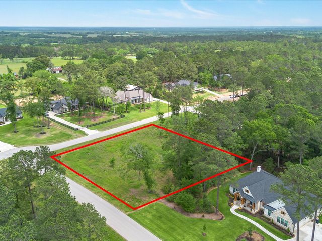 8224 Cedar Trails Lane, Plantersville, TX 77363