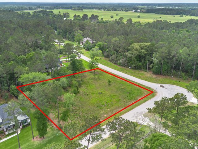 8224 Cedar Trails Lane, Plantersville, TX 77363
