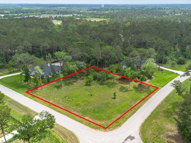 8224 Cedar Trails Lane, Plantersville, TX 77363