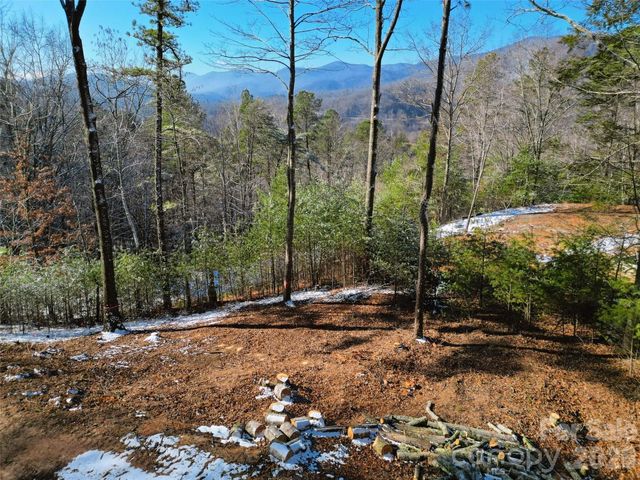 3 Dream Valley Drive, Clyde, NC 28721