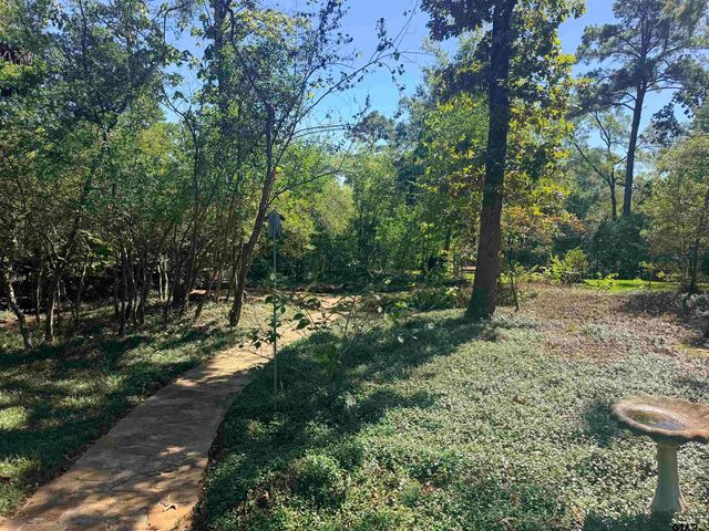 1205 Lake Cross Road, Hideaway, TX 75771