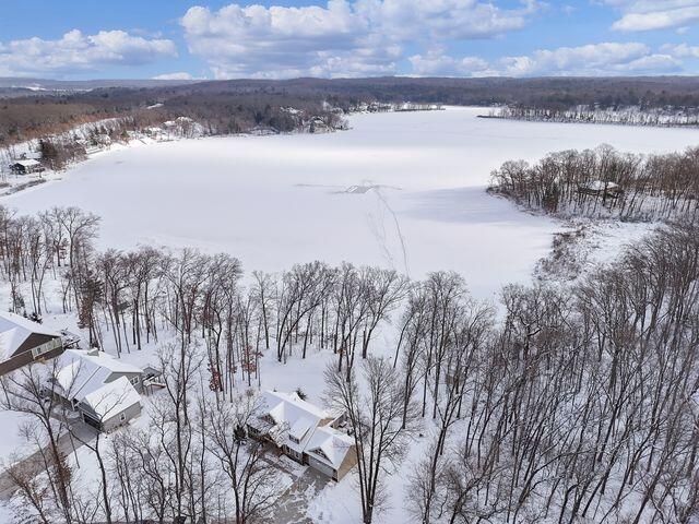 8006 S Potawatomi Court, Newaygo, MI 49337