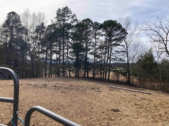 137 Goldsmith Lane, Mena, AR 71953