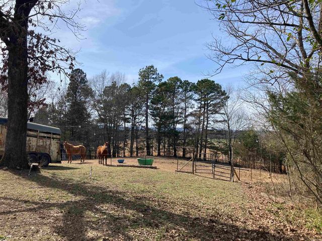 137 Goldsmith Lane, Mena, AR 71953