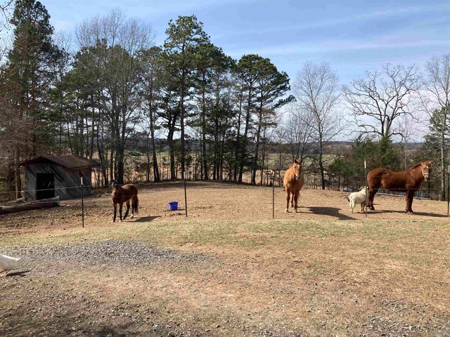 137 Goldsmith Lane, Mena, AR 71953