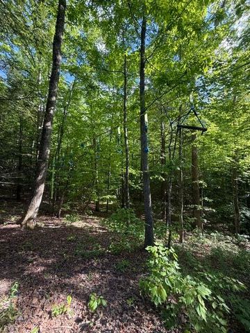 73 Kestrel Drive, Wellington, KY 40387