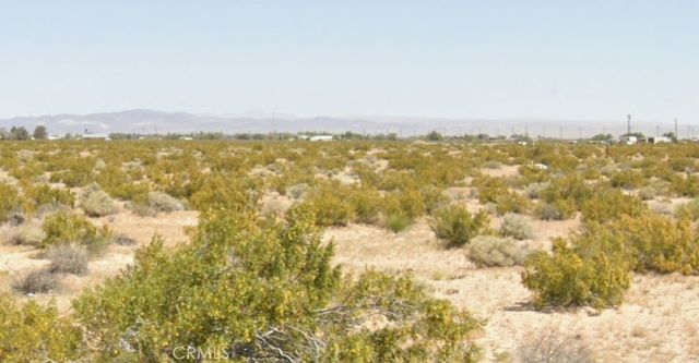 46248 Toy Truck Road, Newberry Springs, CA 92365