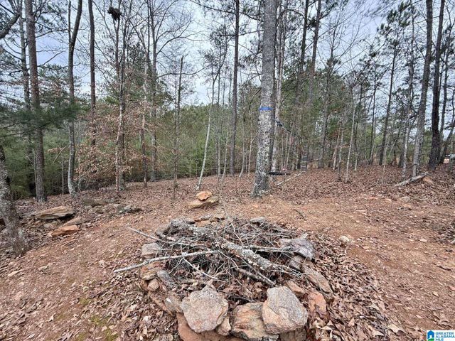 0 FOSTER HILLS DRIVE, Lineville, AL 36266