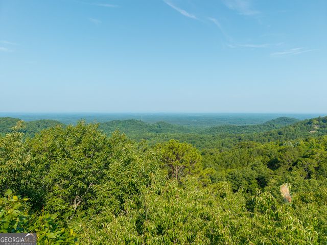 294 Adair Drive NE, Ranger, GA 30734
