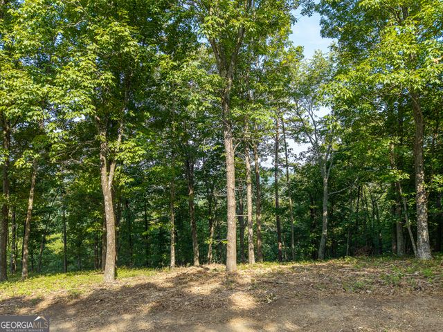 294 Adair Drive NE, Ranger, GA 30734