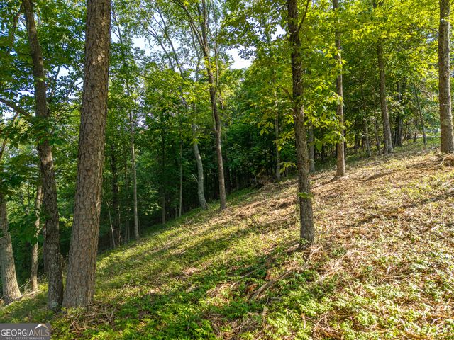294 Adair Drive NE, Ranger, GA 30734