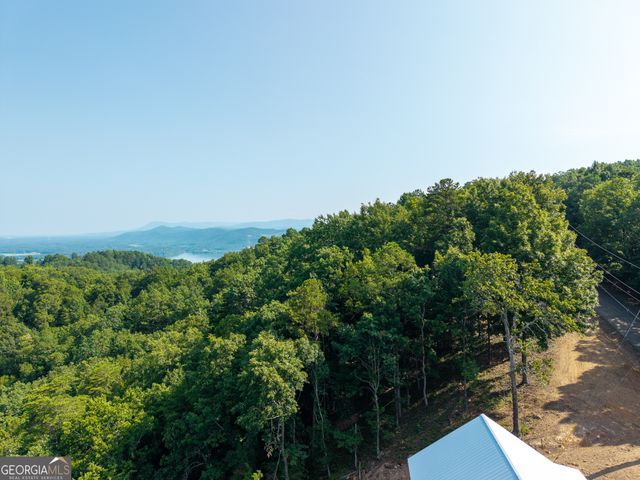 294 Adair Drive NE, Ranger, GA 30734