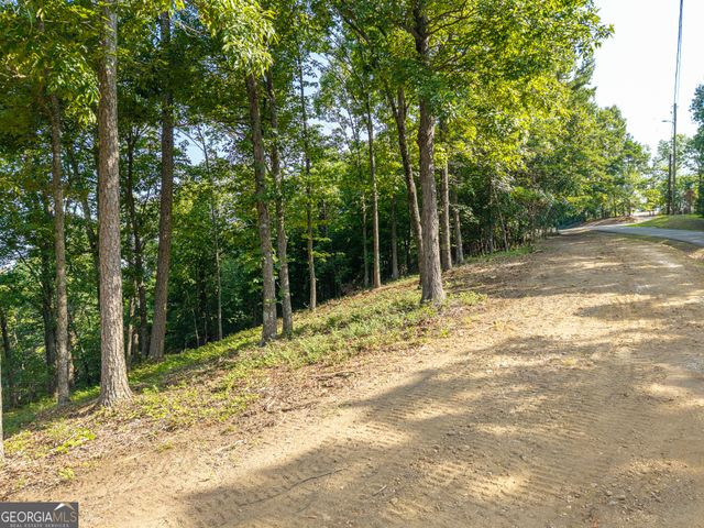 294 Adair Drive NE, Ranger, GA 30734