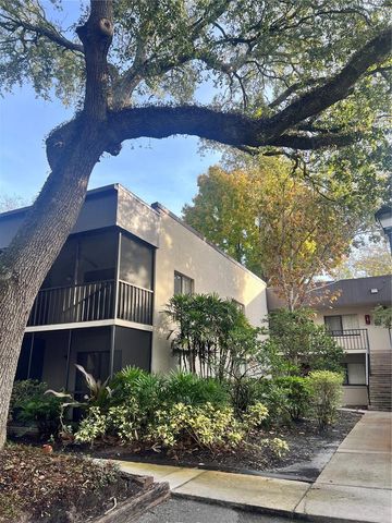 11709 RAINTREE VILLAGE BOULEVARD C, Temple Terrace, FL 33617