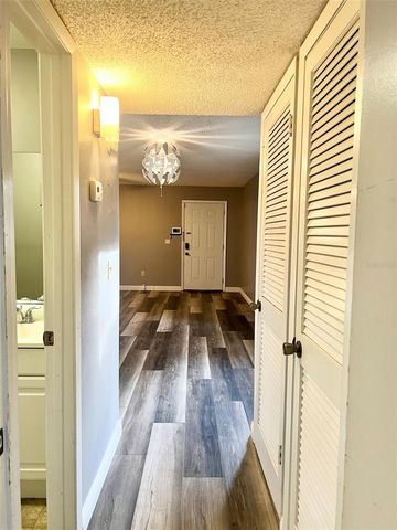 11709 RAINTREE VILLAGE BOULEVARD C, Temple Terrace, FL 33617