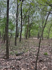County Road 150, Greenwood, MS 38930
