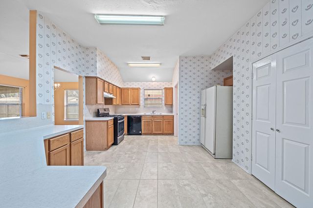 9135 Reagan Meadow Court, Houston, TX 77064