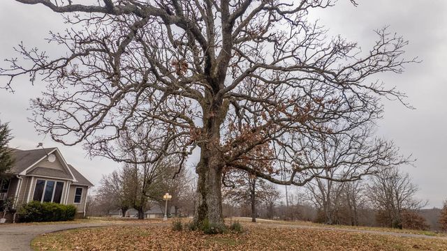 667 County Road 364, Thayer, MO 65791