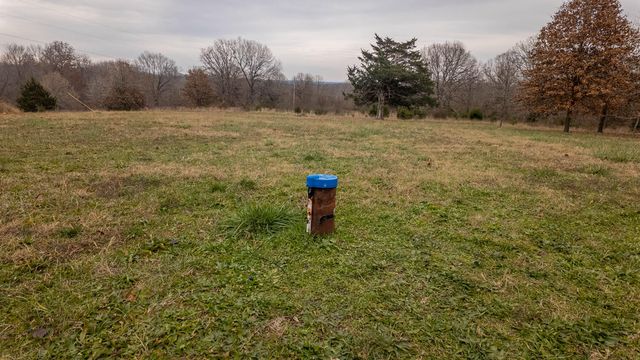 667 County Road 364, Thayer, MO 65791