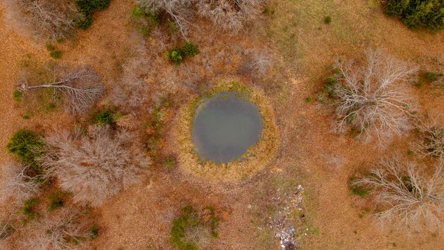 667 County Road 364, Thayer, MO 65791