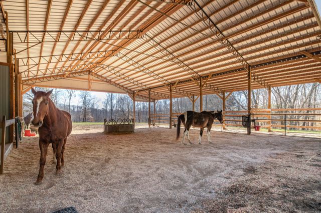 925 Bumpas Rd, Lawrenceburg, TN 38464