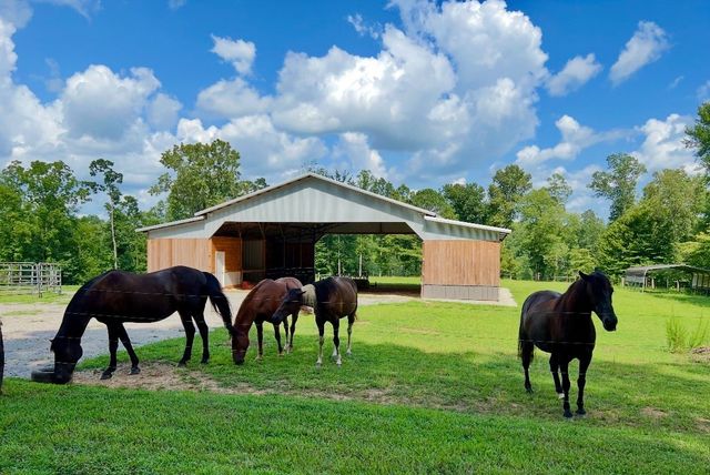 925 Bumpas Rd, Lawrenceburg, TN 38464
