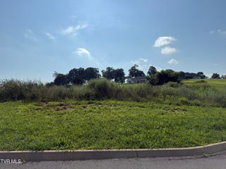 Lot 52 Unlce Buddy's Way, Jonesborough, TN 37659