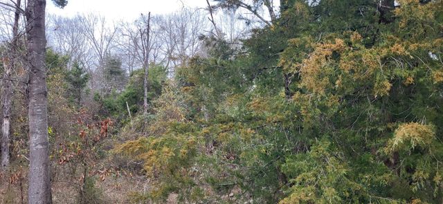 2260 County Road 1439, Sulphur Springs, TX 75482