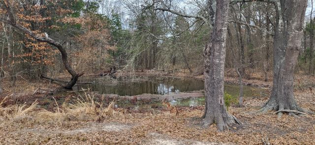 2260 County Road 1439, Sulphur Springs, TX 75482