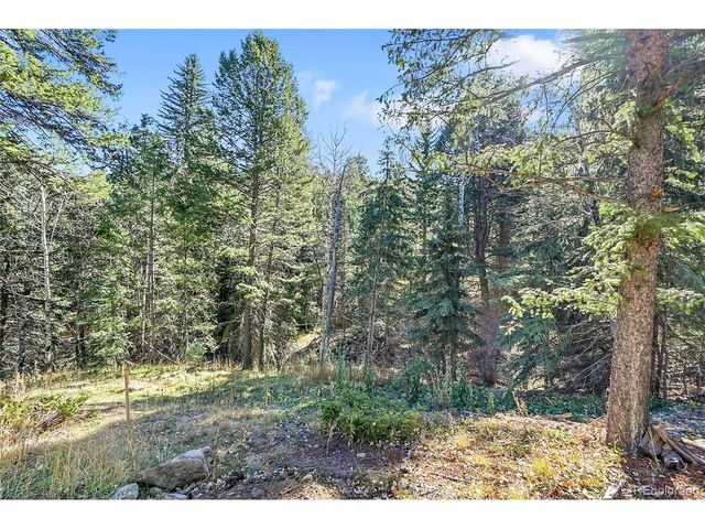 28176 Alabraska Ln, Evergreen, CO 80439